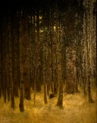 Forest in Winter